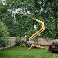 Best Aeration Services  in Liberty, TX