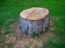 Liberty, TX Tree Services Company