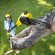 Best Organic Lawn Care Solutions  in Liberty, TX