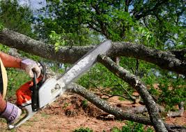 Best Lawn Mowing  in Liberty, TX